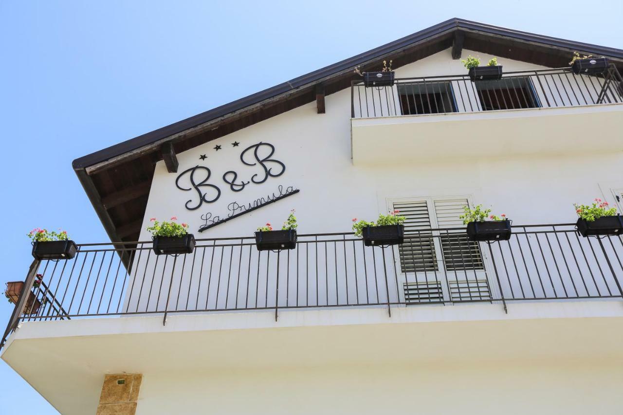 B&B La Primula ピアッツァ・アルメリーナ エクステリア 写真